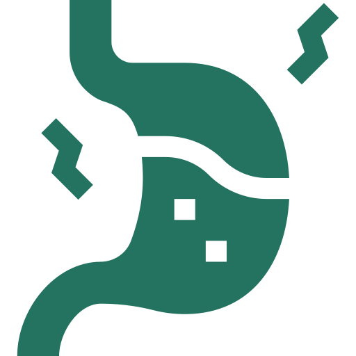 Abdominal Wall Reconstruction