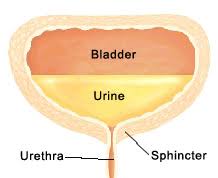 URINARY INCONTINENCE