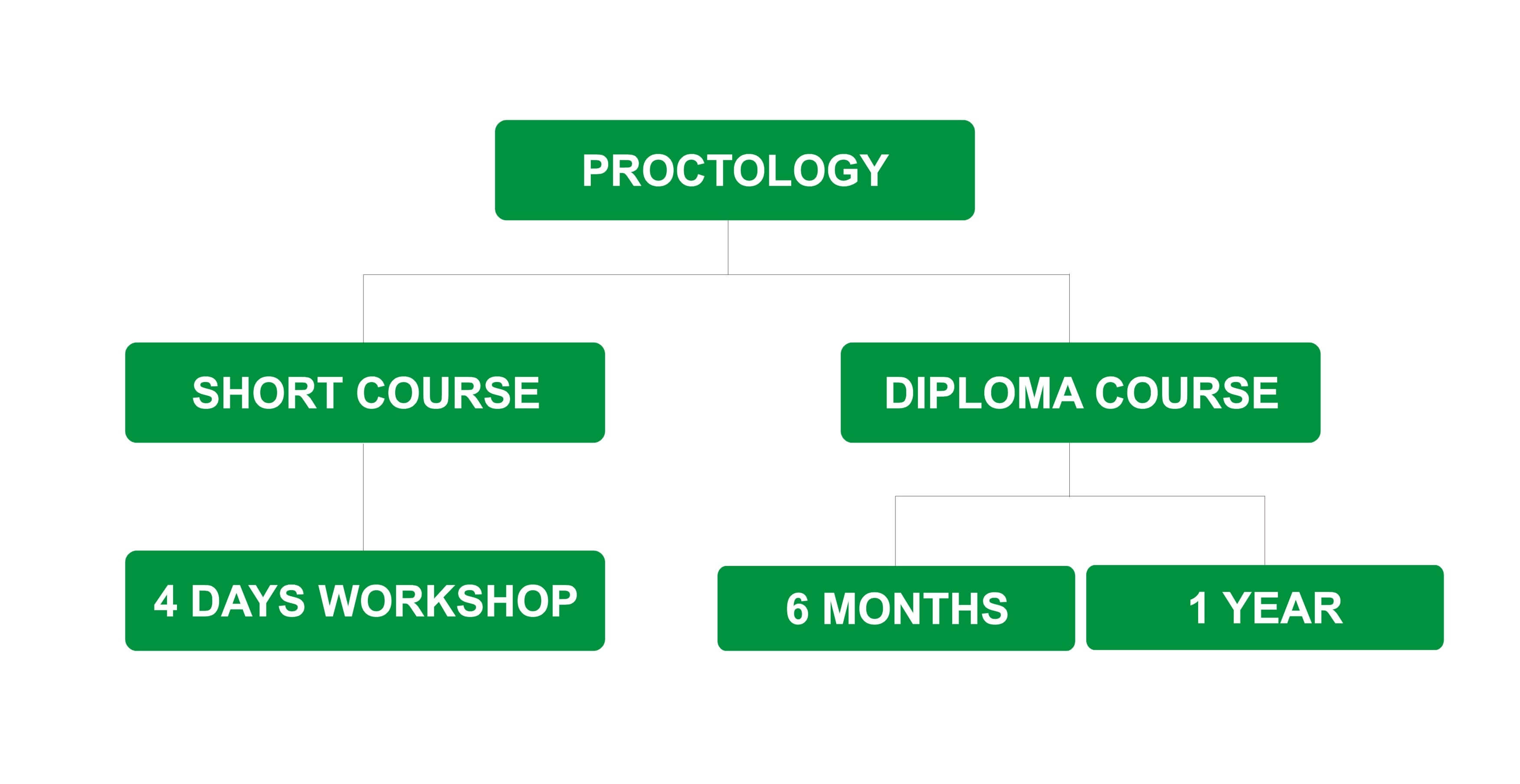 TRAINING IN PROCTOLOGY